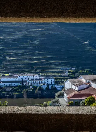 Excursión por el Valle del Duero con cata de vinos, crucero por el río y visita a Lamego desde Oporto - buendía