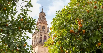 Mezquita Córdoba Córdoba