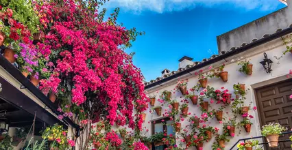 Patios de Córdoba