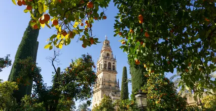 Visitar Mezquita de Córdoba buendía