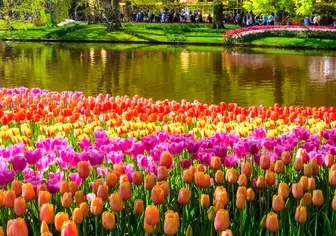 Entrada a los Jardines de Keukenhof