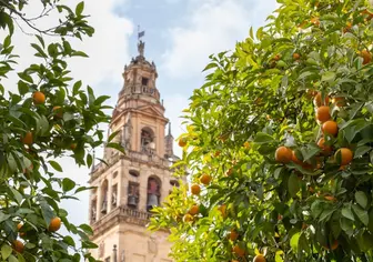 Visitar la Mezquita de Córdoba