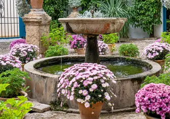 Visitar los Patios de Córdoba