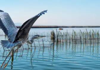 Parque Natural de la Albufera