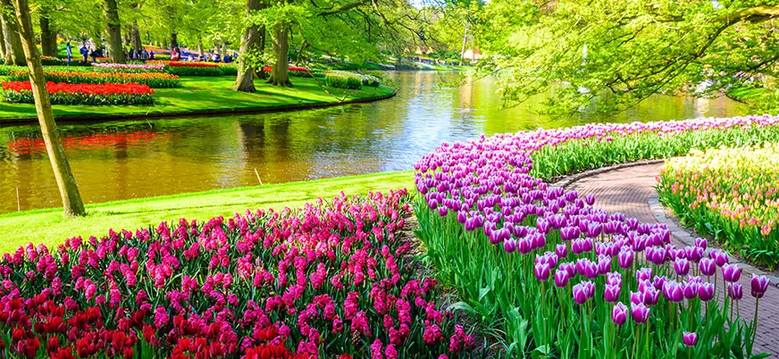 Excursión al Parque de Tulipanes de Keukenhof desde Ámsterdam - Buendía