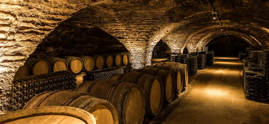  odega subterránea con barricas de vino y botellas apiladas