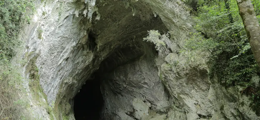 Entrada amplia de la cueva Cullalvera rodeada de roca y vegetación en un entorno natural