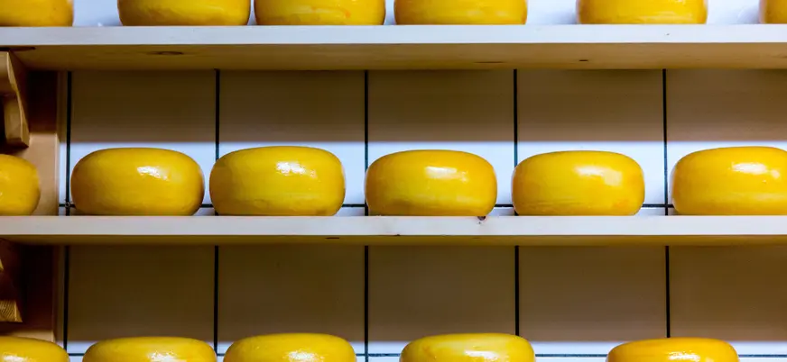 Varios quesos amarillos típicos de Holanda colocados en filas sobre estantes de una quesería en Ámsterdam.