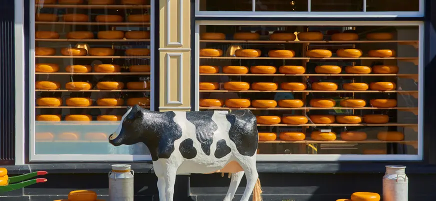 Rodeando el ayuntamiento de Gouda, encontramos la plaza del mercado de queso.