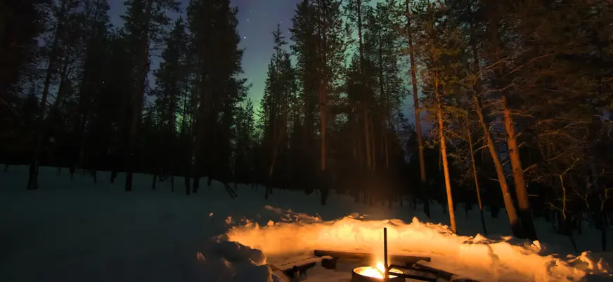 Fogata encendida en un círculo de nieve, rodeada de árboles altos en un bosque nevado, con auroras boreales verdes en el cielo nocturno.
