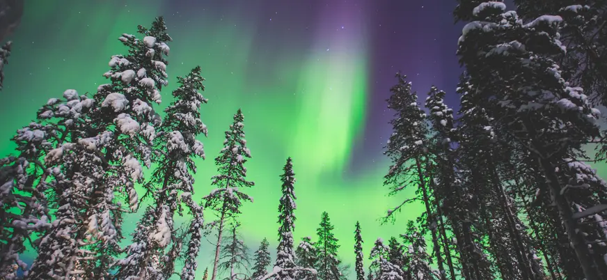 Mientras disfrutas del espectáculo podrás degustar un típico zumo caliente de arándanos.