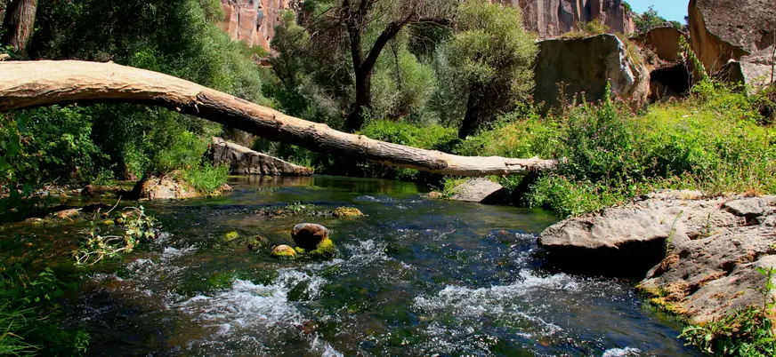 Río entre vegetación en el Cañón de Ihlara, Capadocia, Turquía