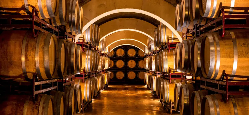 Adéntrate en una de las bodegas de vino más famosas y prueba dos de sus variedades mientras descubres las curiosidades de este vino único.