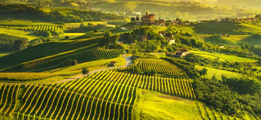  paisaje aéreo de una finca vinícola, que muestra viñedos en terrazas y un pequeño pueblo o aldea en la cima de una colina