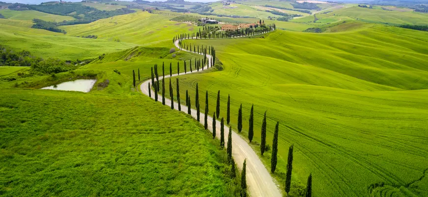 Verdes colinas de la región vinícola de Chianti, ubicada en la Toscana, Italia. Esta área es mundialmente famosa por sus pintorescos viñedos y su reconocido vino tinto. 
