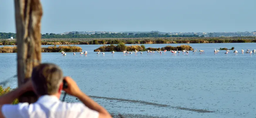 Ruta Parque Nacional Doñana Todoterreno 4x4 Cádiz Huelva Sevilla Avistamiento Pajaros