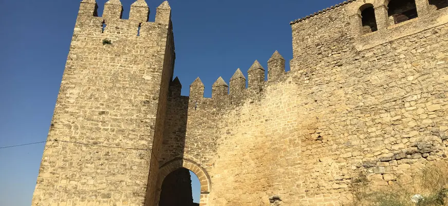 visita guiada Castillo Sabiote entradas Jaen