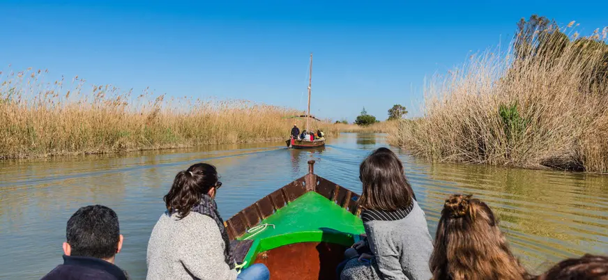 Paseo en barca por los canales del Parque Natural de la Albufera, Valencia