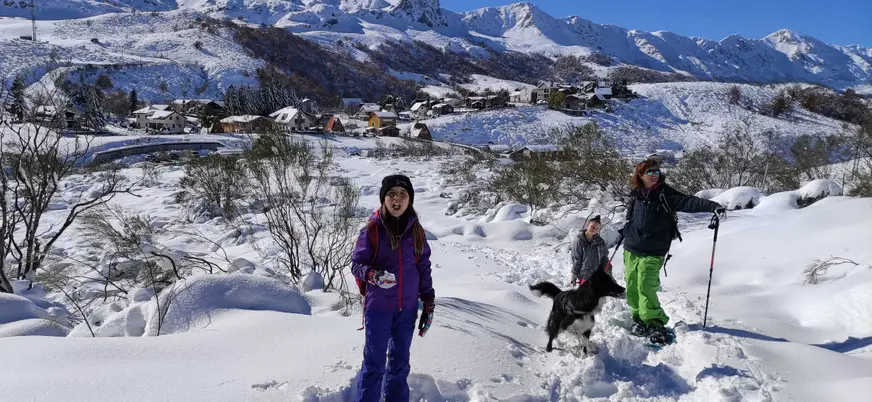 Ruta con raquetas de nieve con perro en Fuentes de Invierno, Asturias