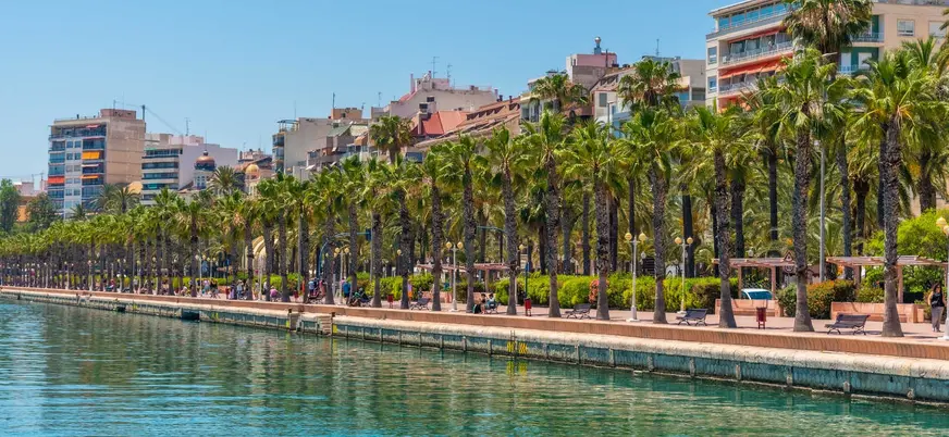 Paseo marítimo de Alicante con palmeras junto al agua en un día soleado