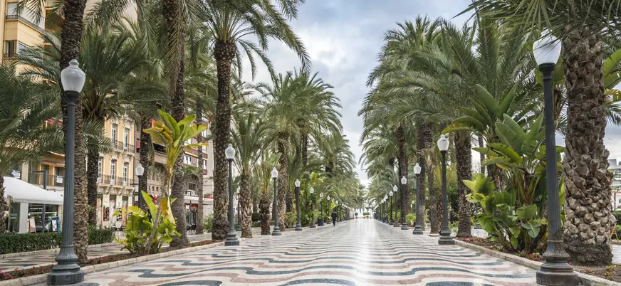 Paseo de la Explanada de España con palmeras y mosaico ondulado en Alicante
