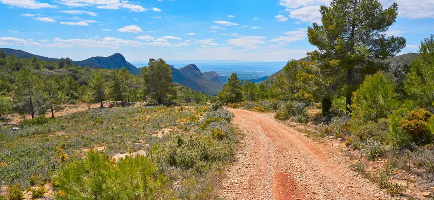 Camino off-road en la Sierra Calderona rodeado de montañas y vegetación.