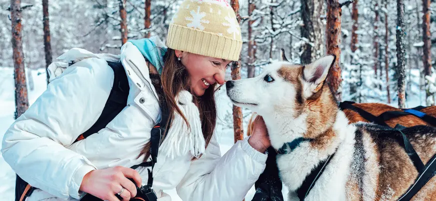 Mujer acariciando a un perro husky en un paisaje nevado, rodeado de árboles en un bosque ártico, típico de excursiones en Laponia.