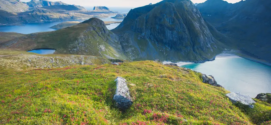 Paisajes del fiordo de Oslo que podrás contemplar desde las ventanas panorámicas.