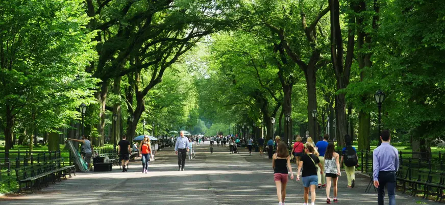 Paseo arbolado con visitantes en Central Park, Nueva York, Estados Unidos