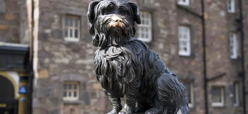  Estatua del perro Bobby