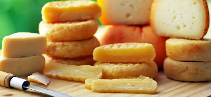Degustación de quesos tradicionales en Lisboa durante un tour gastronómico