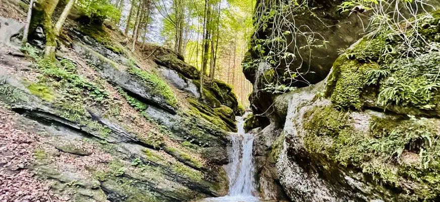 Las cascadas de agua te sorprenderán a lo largo del camino, dando un toque todavía más atractivo a este recorrido.