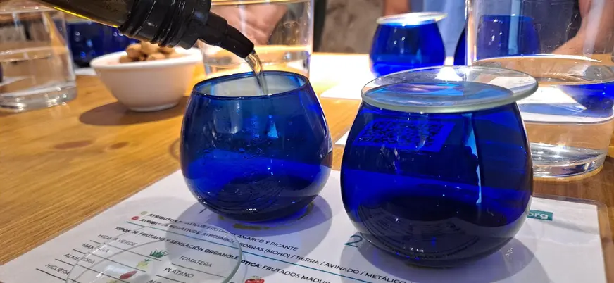 Vasos para la cata de aceites que se hace en esta visita en Oliete.