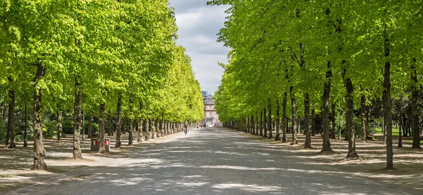 El Hofgarten es el mayor parque urbano de la ciudad.
