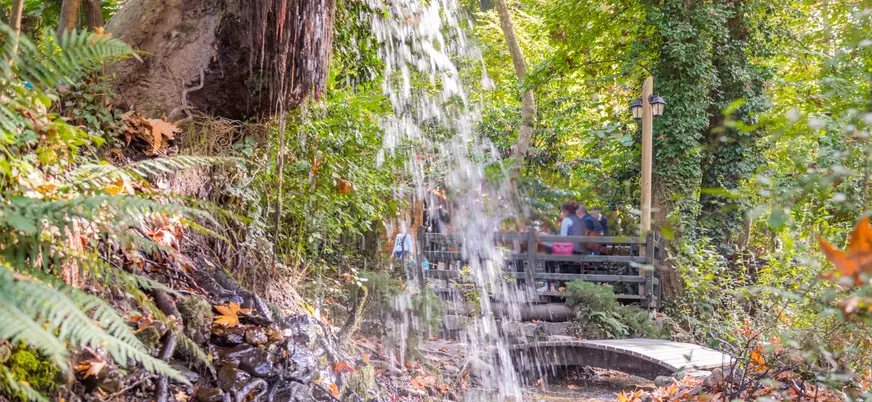 Cascada rodeada de bosque en Maşukiye, Turquía