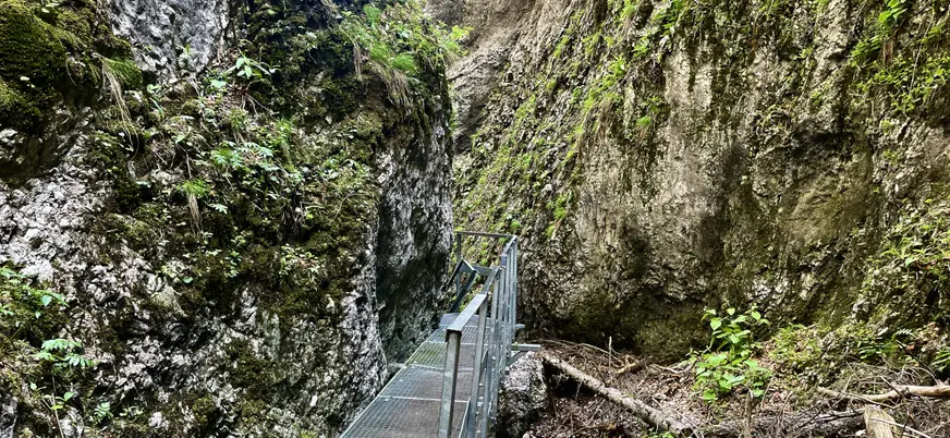 El verde intenso que aparece en las formaciones rocosas añade todavía más encanto a este fenómeno natural único.