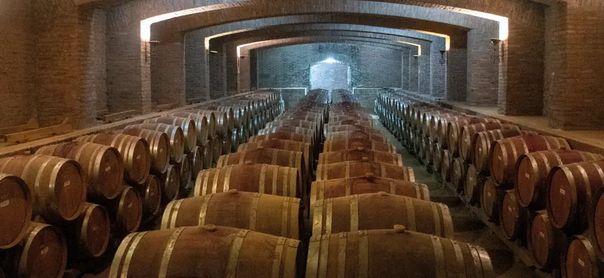 La bodegas guardan siglos de tradición que se relevarán en esta excursión desde Santiago de Chile.