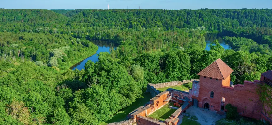 El intenso verde de los bosques visto desde las alturas deja un paisaje único.