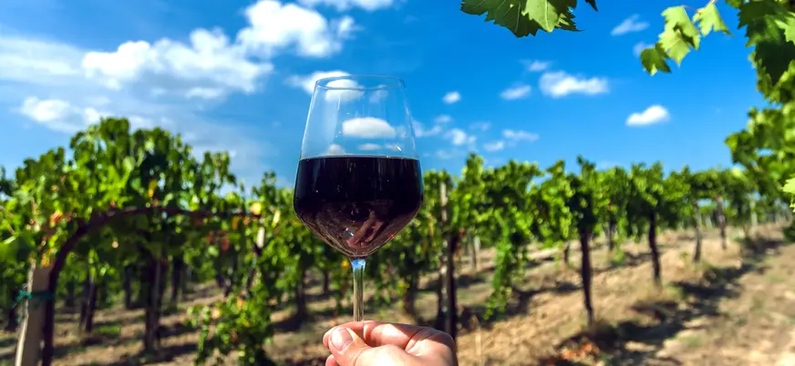 La cata de vino está incluida en esta excursión a la Toscana desde Roma.