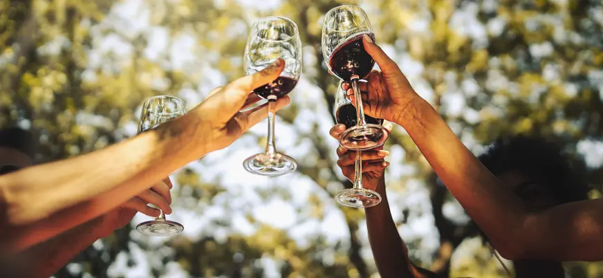 Podrás brindar con una degustación de 3 vinos incluidos en esta excursión.