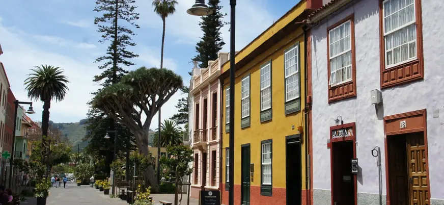 Leyenda del drago y su savia en las calles de La Laguna.