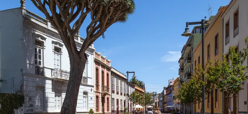 Calles de La Laguna con el típico árbol tinerfeño, el drago.
