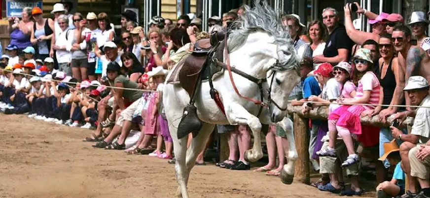 Las entradas a Sioux City Park también permiten ver animales en una granja, montar a caballo y disfrutar como un vaquero.