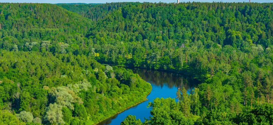 El Parque Nacional de Gauja es otro de los atractivos turísticos de este recorrido guiado.