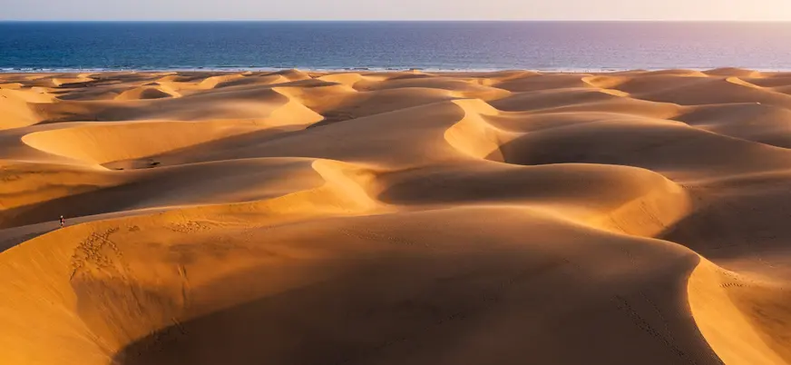 Reserva Natural Las Dunas de Maspalomas, una de las paradas de esta excursión por el suroeste de Gran Canaria.