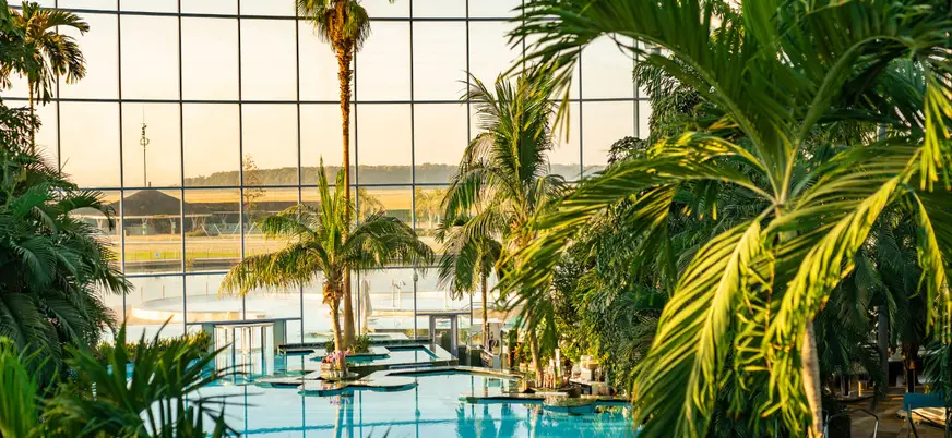 Vegetación rodeando a la piscina principal de las termas de Bucarest, a donde te lleva esta excursión.