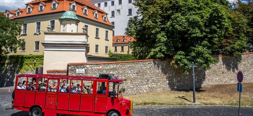 Recorrerás el centro de la ciudad en este tour panorámico en tren turístico.