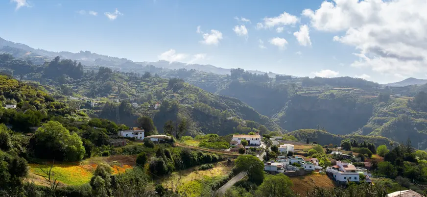 En Valleseco, además de observar la grandeza natural de la isla, tendremos tiempo para comer.