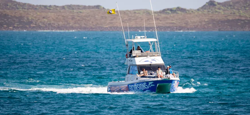 Barco desde el que se realiza el avistamiento de cetáceos en Corralejo.