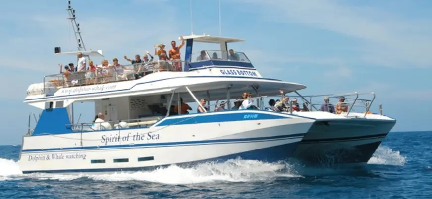 Barco en el que tendrás la posibilidad de observar algunos de los animales más increíbles del océano.